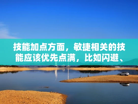 技能加点方面，敏捷相关的技能应该优先点满，比如闪避、格挡这些。剑术技能的话，可能需要点一些高爆发的技能，比如快速攻击或者爆发伤害技能。辅助技能方面，治疗或者减抗可能比较重要，这样队伍整体更稳定