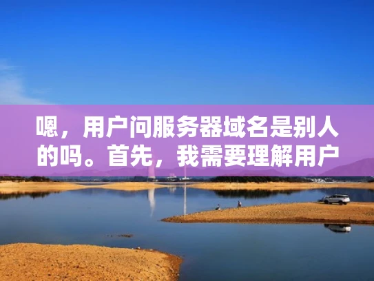 嗯，用户问服务器域名是别人的吗。首先，我需要理解用户的问题。他们可能担心自己的服务器被别人盗用，或者想确认服务器的归属权。作为专业的网络安全人员，我应该提供一个全面且易于理解的回答