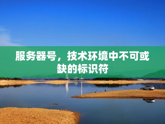 服务器号，技术环境中不可或缺的标识符