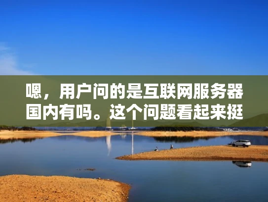 嗯，用户问的是互联网服务器国内有吗。这个问题看起来挺基础的，但作为专业的网络安全人员，我需要详细地回答，结合专业知识，同时用大白话解释，让读者容易理解