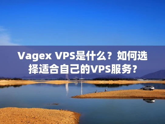 Vagex VPS是什么？如何选择适合自己的VPS服务？