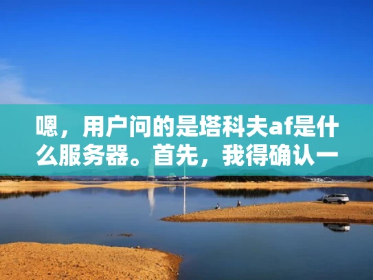 嗯，用户问的是塔科夫af是什么服务器。首先，我得确认一下塔科夫AF是什么。塔科夫可能是一个网络服务器的名字，或者是某个特定平台的服务器。但我不太确定，所以可能需要进一步的信息