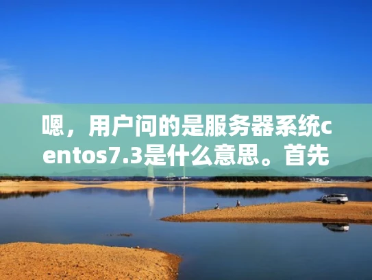 嗯，用户问的是服务器系统centos7.3是什么意思。首先，我得确定这是关于CentOS版本的问题。CentOS是Red Hat的旧版本，用户可能对这个旧版本不太熟悉，所以需要解释清楚