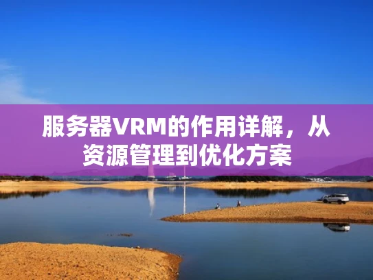 服务器VRM的作用详解，从资源管理到优化方案