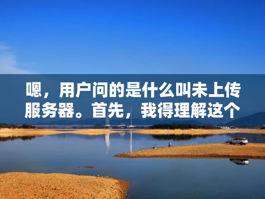 嗯，用户问的是什么叫未上传服务器。首先，我得理解这个术语的含义。未上传服务器应该是指那些没有将数据上传到服务器上的情况，或者服务器本身没有被设置为上传状态
