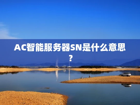 AC智能服务器SN是什么意思？