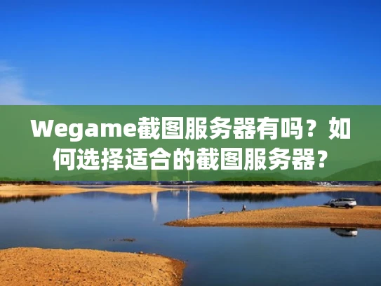Wegame截图服务器有吗？如何选择适合的截图服务器？
