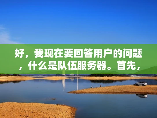 好，我现在要回答用户的问题，什么是队伍服务器。首先，我需要理解队伍服务器这个词组的含义。看起来像是队伍加上服务器，可能是指某种特定类型的服务器，可能与团队协作或游戏有关