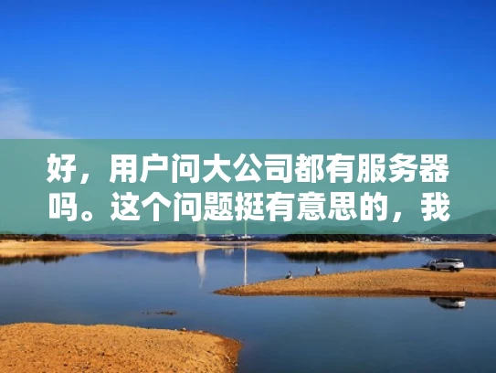 好，用户问大公司都有服务器吗。这个问题挺有意思的，我得先理解清楚用户的需求。可能用户是想了解大公司是不是都在使用自己的服务器，还是说他们依赖第三方服务