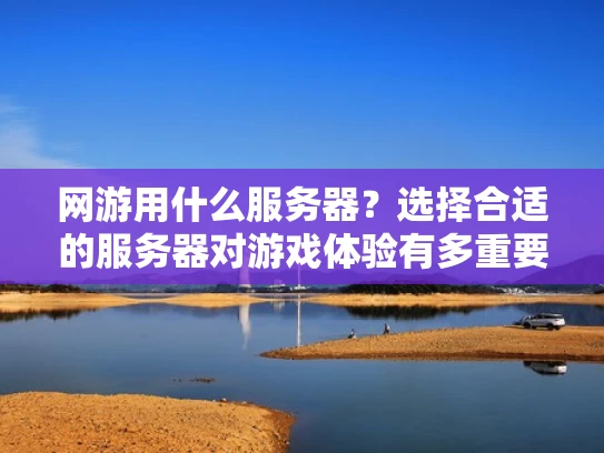 网游用什么服务器？选择合适的服务器对游戏体验有多重要？