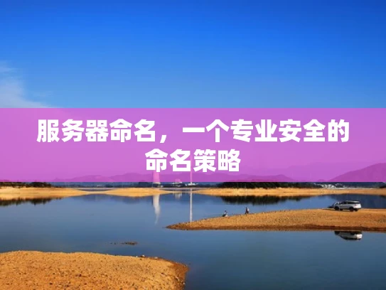 服务器命名，一个专业安全的命名策略
