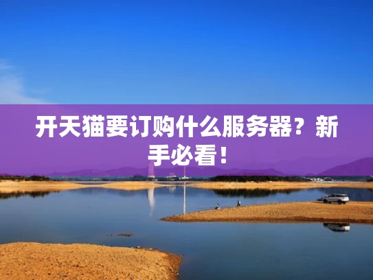 开天猫要订购什么服务器？新手必看！