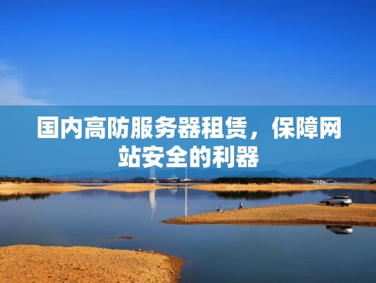 国内高防服务器租赁，保障网站安全的利器