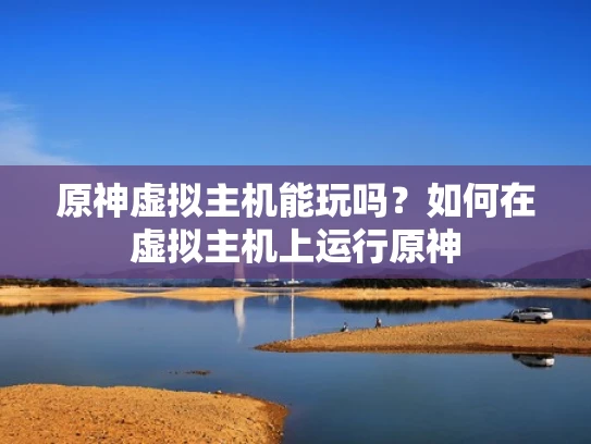原神虚拟主机能玩吗？如何在虚拟主机上运行原神