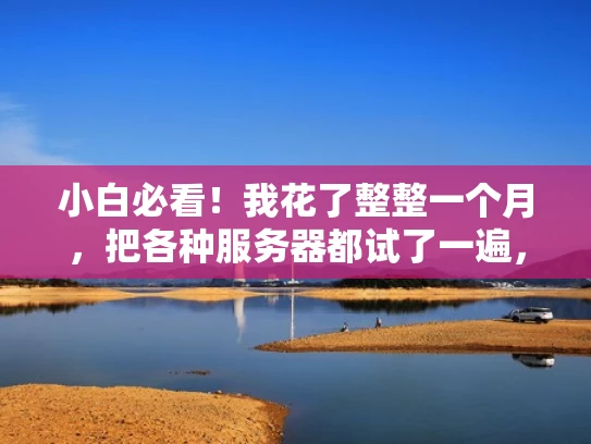 小白必看！我花了整整一个月，把各种服务器都试了一遍，现在终于知道该买什么了