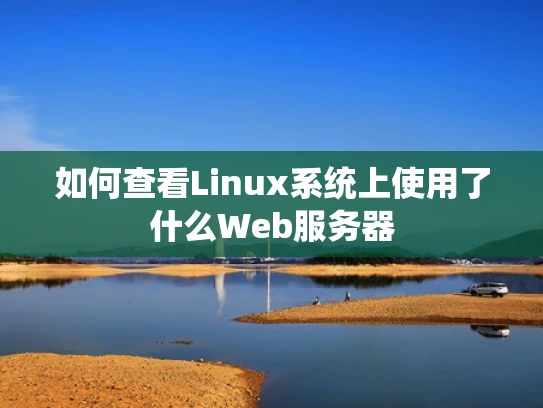 如何查看Linux系统上使用了什么Web服务器