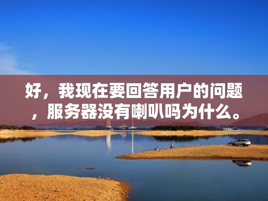 好，我现在要回答用户的问题，服务器没有喇叭吗为什么。首先，我需要理解用户的问题。他们可能在问服务器是否自带喇叭，或者为什么服务器没有喇叭。这可能是因为他们正在配置服务器，或者遇到了相关问题
