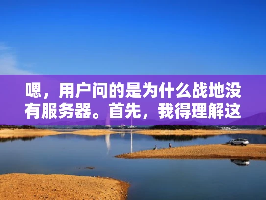 嗯，用户问的是为什么战地没有服务器。首先，我得理解这个问题。可能用户对战地游戏机制不太了解，或者他们可能在问游戏中的服务器管理方式。我应该从游戏设计的角度来分析