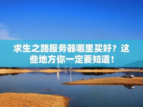 求生之路服务器哪里买好？这些地方你一定要知道！