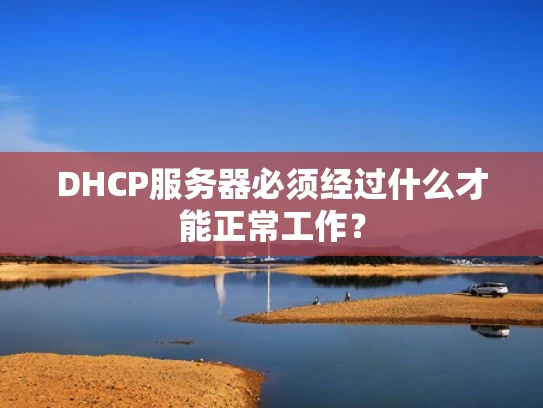 DHCP服务器必须经过什么才能正常工作？