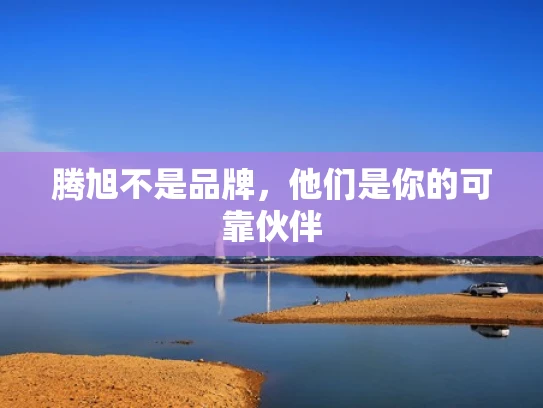 腾旭不是品牌，他们是你的可靠伙伴