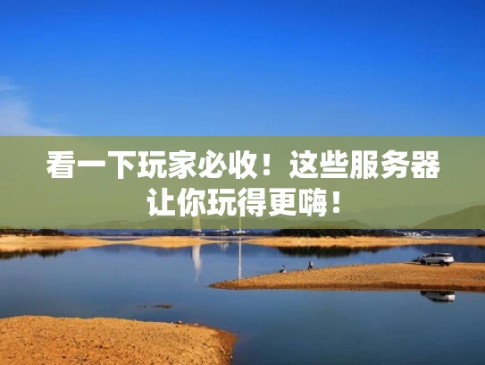 看一下玩家必收！这些服务器让你玩得更嗨！