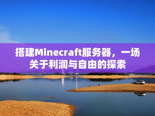 搭建Minecraft服务器，一场关于利润与自由的探索