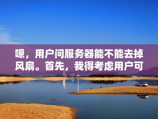 嗯，用户问服务器能不能去掉风扇。首先，我得考虑用户可能是什么样的人。他们可能是一个普通的用户，或者是一个不太懂技术的人，对服务器的维护不太熟悉。所以，我需要用简单易懂的语言来解释