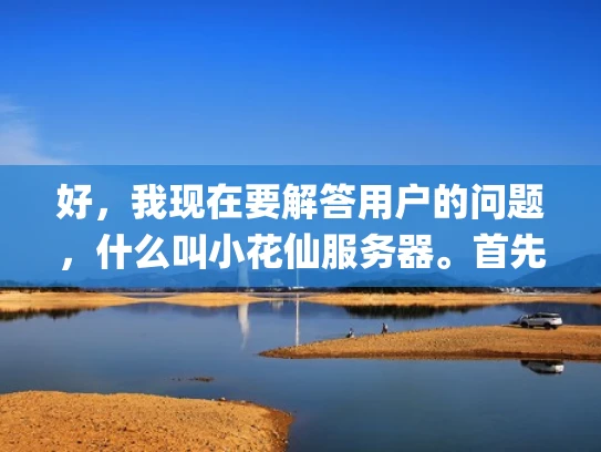 好，我现在要解答用户的问题，什么叫小花仙服务器。首先，我需要了解小花仙服务器是什么。根据用户提供的信息，小花仙服务器是一个基于Nginx的多租户容器反向代理服务，由国内公司飞天网络开发