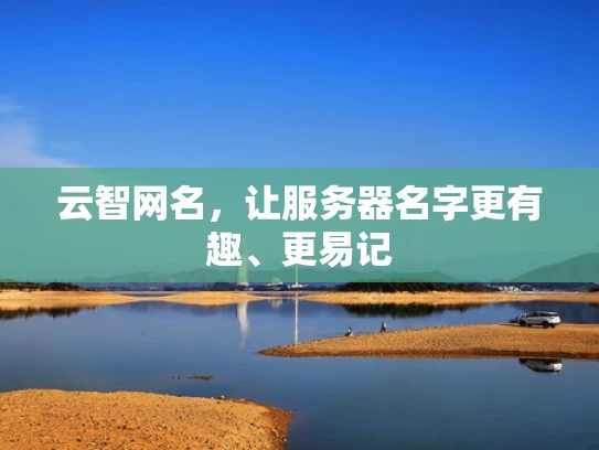 云智网名，让服务器名字更有趣、更易记