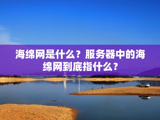 海绵网是什么？服务器中的海绵网到底指什么？