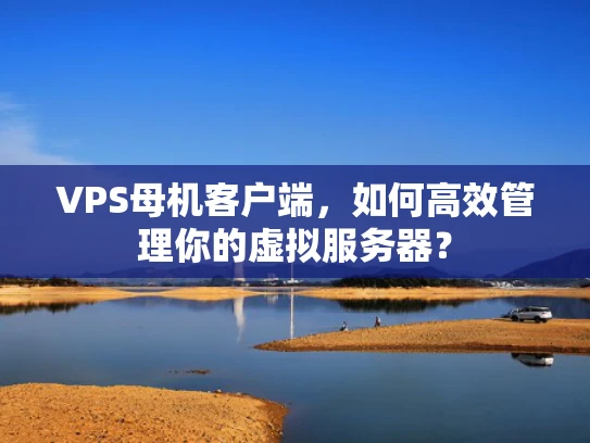 VPS母机客户端，如何高效管理你的虚拟服务器？