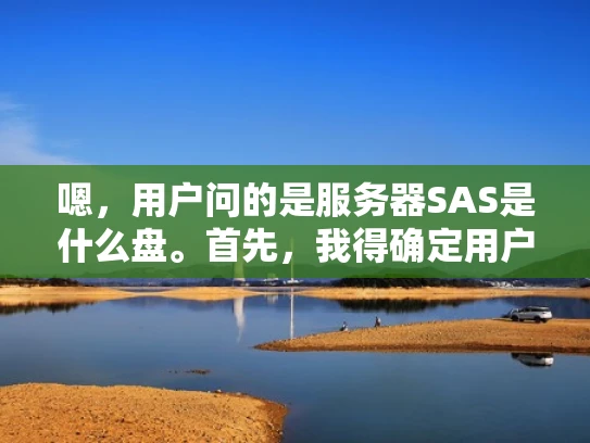嗯，用户问的是服务器SAS是什么盘。首先，我得确定用户可能是在学习服务器存储结构，或者是工作中遇到了相关问题，需要了解SAS盘的作用和位置