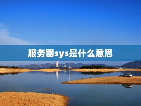 服务器sys是什么意思