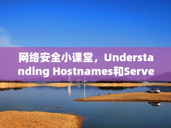 网络安全小课堂，Understanding Hostnames和Servers
