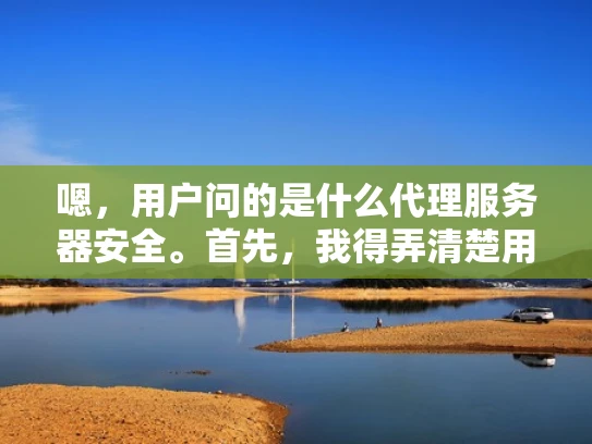 嗯，用户问的是什么代理服务器安全。首先，我得弄清楚用户的具体需求是什么。可能他是个刚开始接触网络安全的人，或者是一个正在配置服务器的网络管理员。不管怎样，他需要一个全面但又易于理解的解答