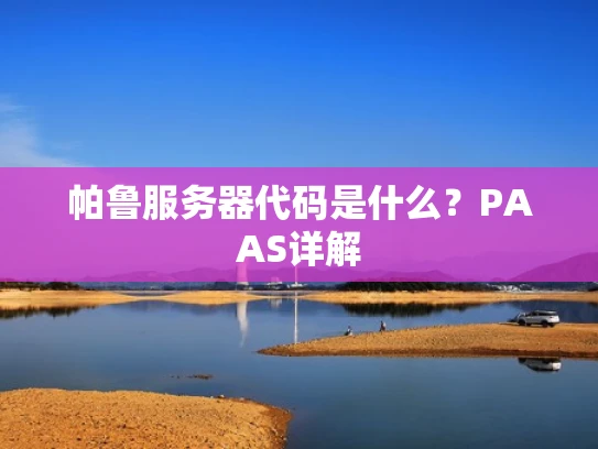 帕鲁服务器代码是什么？PAAS详解