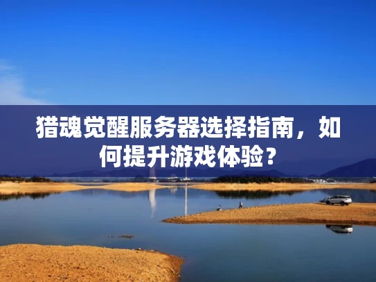猎魂觉醒服务器选择指南，如何提升游戏体验？