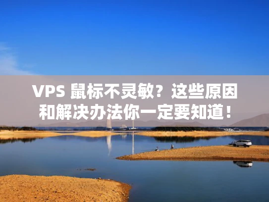 VPS 鼠标不灵敏？这些原因和解决办法你一定要知道！