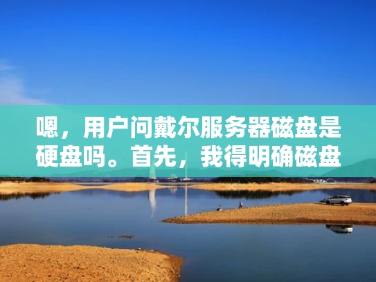 嗯，用户问戴尔服务器磁盘是硬盘吗。首先，我得明确磁盘和硬盘的区别。硬盘是存储数据的介质，而磁盘是硬盘加上接口，可以读写数据。戴尔服务器用的是磁盘，所以它们是硬盘加上接口