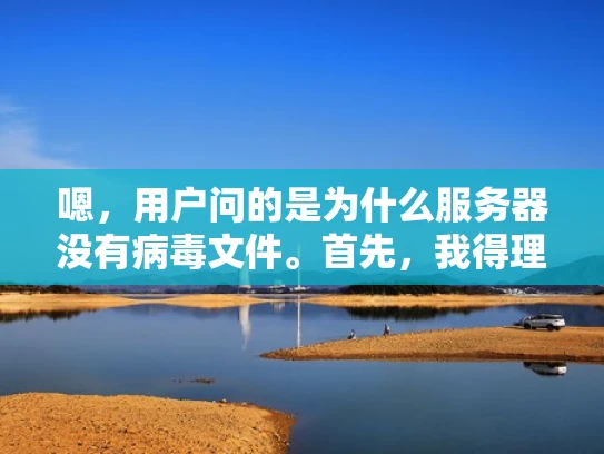 嗯，用户问的是为什么服务器没有病毒文件。首先，我得理解用户的问题。可能用户对服务器安全不太了解，或者他们遇到了服务器被感染的问题，想弄清楚为什么会这样