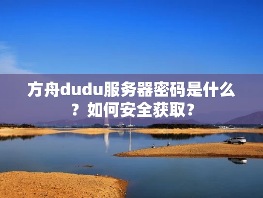 方舟dudu服务器密码是什么？如何安全获取？