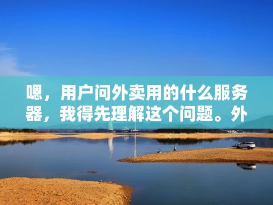 嗯，用户问外卖用的什么服务器，我得先理解这个问题。外卖平台可能涉及支付、订单处理、配送等多个环节，服务器类型可能包括Web服务器、数据库服务器、支付服务器等。我应该考虑这些服务器的作用和选择标准