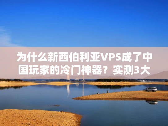 为什么新西伯利亚VPS成了中国玩家的冷门神器？实测3大优势与隐藏风险