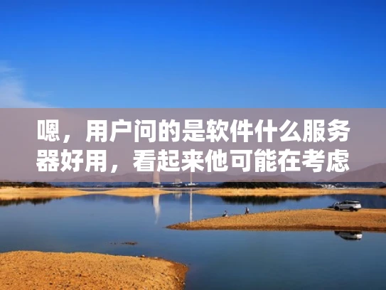嗯，用户问的是软件什么服务器好用，看起来他可能在考虑部署服务器，或者需要选择一个合适的云服务器。首先，我得理解他的需求。他可能是个开发者，或者是企业 IT 管理员，想要一个稳定、安全且性能好的服务器