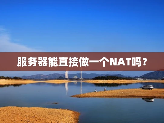 服务器能直接做一个NAT吗？