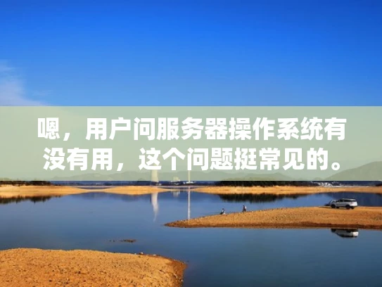 嗯，用户问服务器操作系统有没有用，这个问题挺常见的。首先，我得考虑用户可能是什么身份。可能是个刚入行的网络管理员，或者是刚开始接触服务器的人。他们可能不太清楚不同操作系统的特点，所以才会问这个问题