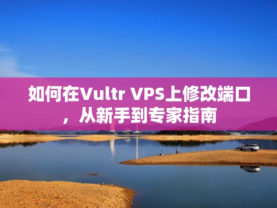 如何在Vultr VPS上修改端口，从新手到专家指南