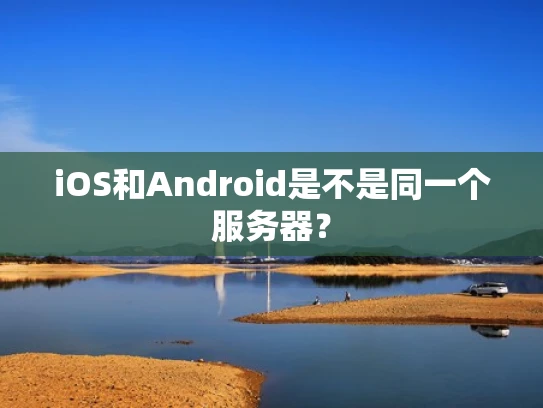 iOS和Android是不是同一个服务器？