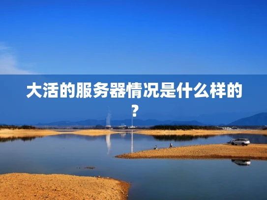 大活的服务器情况是什么样的？